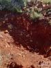Acheter Terrain 1950 m2 LOULE