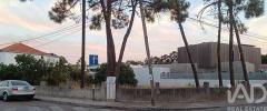 Annonce Vente Terrain ALMADA