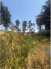 Acheter Terrain OEIRAS r�gion LISBOA