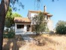 Acheter Maison 378 m2 SALVATERRA-DE-MAGOS