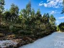 Vente Terrain GONDOMAR 4420