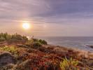 Acheter Terrain 11125 m2 MAFRA