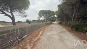 Acheter Terrain 1650 m2 LOULE