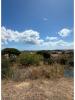 Annonce Vente Terrain ALCABIDECHE
