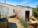 Annonce Vente Maison TAVIRA