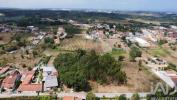 Acheter Terrain ANADIA r�gion AVEIRO