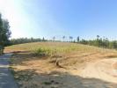 Annonce Vente Terrain CELORICO-DE-BASTO