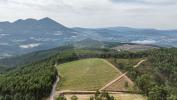 Acheter Terrain CELORICO-DE-BASTO r�gion BRAGA