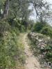 Acheter Terrain 16669 m2 FARO