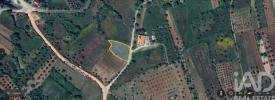 Annonce Vente Terrain ANSIAO