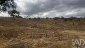Vente Terrain SANTIAGO-DO-CACEM 7540