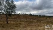 Annonce Vente Terrain SANTIAGO-DO-CACEM
