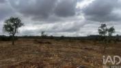 Acheter Terrain 6650 m2 SANTIAGO-DO-CACEM