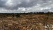 Acheter Terrain SANTIAGO-DO-CACEM r�gion SETUBAL