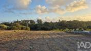Acheter Terrain 3916 m2 ALCOBACA
