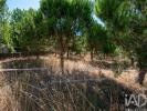Acheter Terrain MARINHA-GRANDE r�gion LEIRIA