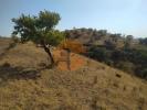 Acheter Terrain CASTRO-MARIM r�gion FARO