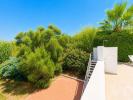 Vente Terrain VILA-REAL-DE-SANTO-ANTONIO 8900