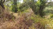 Acheter Terrain 1240 m2 SILVES