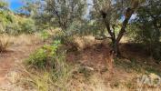 Acheter Terrain SILVES r�gion FARO
