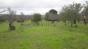 Acheter Terrain PADERNE r�gion FARO
