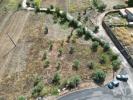 Annonce Vente Terrain PORTO-DE-MOS