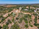 Acheter Terrain 7897 m2 ALBUFEIRA
