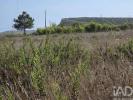 Annonce Vente Terrain SESIMBRA