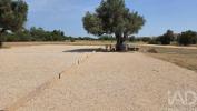Acheter Terrain 8280 m2 ALBUFEIRA