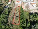 Annonce Vente Terrain PORTO-DE-MOS