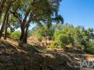 Vente Maison SERTA 6100