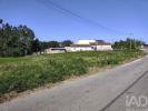 Annonce Vente Terrain LEIRIA