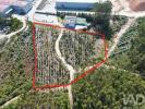 Annonce Vente Terrain PORTO-DE-MOS