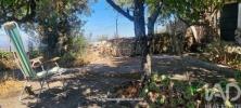 Annonce Vente Maison CASTELO-DE-VIDE