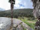 Acheter Maison 1100 m2 TAVIRA