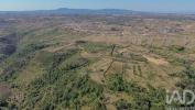 Acheter Terrain 2875 m2 MAFRA