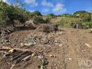 Vente Terrain MACHICO 9200