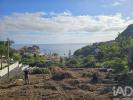Annonce Vente Terrain MACHICO