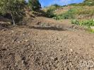 Acheter Terrain 1336 m2 MACHICO