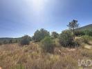 Annonce Vente Terrain PORTO-DE-MOS