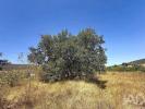Acheter Terrain PORTO-DE-MOS r�gion LEIRIA