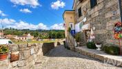 Vente Maison OLIVEIRA-DO-HOSPITAL 3400