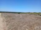 Annonce Vente Terrain ALPIARCA