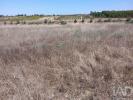Acheter Terrain 1500 m2 ALPIARCA