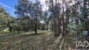 Acheter Terrain PORTO-DE-MOS r�gion LEIRIA