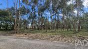 Annonce Vente Terrain PORTO-DE-MOS