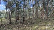 Acheter Terrain PORTO-DE-MOS r�gion LEIRIA