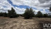 Vente Terrain SANTAREM 2000