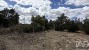 Acheter Terrain 32767 m2 SANTAREM