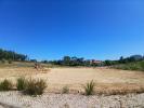 Annonce Vente Terrain MAFRA